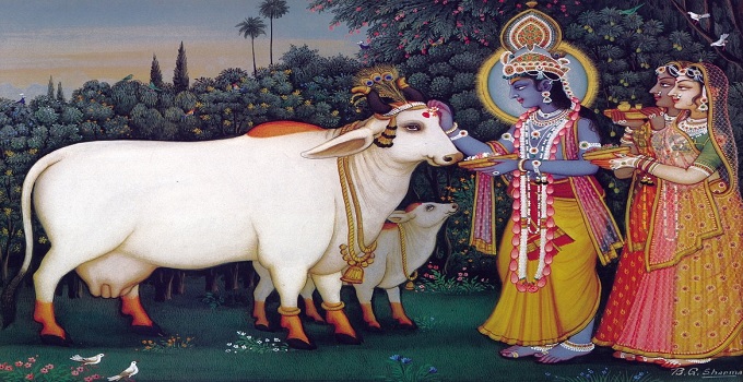 The significance of Gau Mata in our Sanatana Dharma